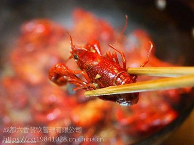 小龙虾底料批发,麻辣小龙虾底料厂家