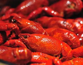 自己在家做好吃的麻辣小龙虾 美味又安全