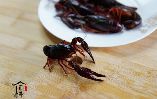 教你在家做麻辣小龙虾,用这16种常见配料,吃完不再去大排档