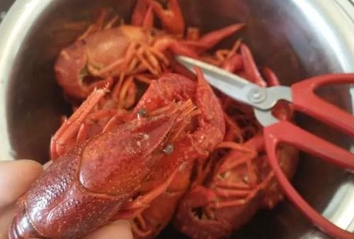 大厨教你做麻辣小龙虾的秘方,解决不入味,小白也能做出好滋味 夏天